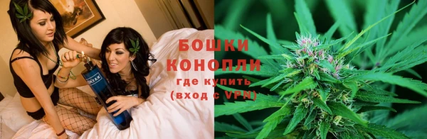 молекула духа Аркадак