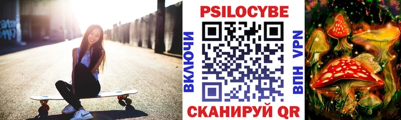 Псилоцибиновые грибы Psilocybe закладка Новозыбков